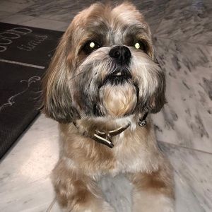 Meet your Posher, Rana